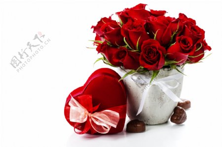 七夕红玫瑰花与巧克力图片