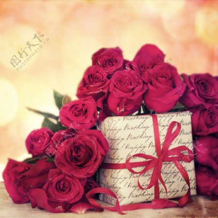 浪漫红玫瑰花与礼品盒图片