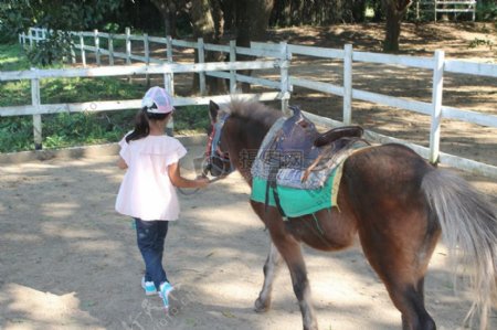 女孩牵着马行走