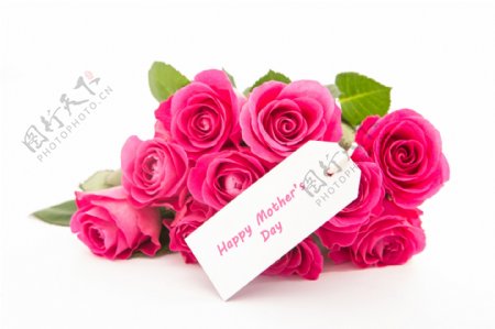 母亲节礼物美丽的玫瑰花