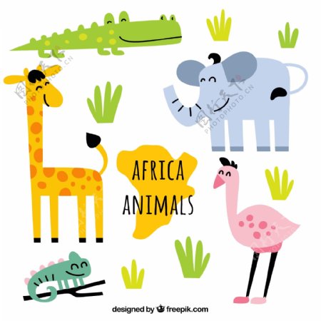 6款可爱非洲动物矢量素材