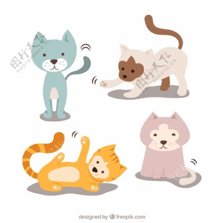 4款可爱宠物猫矢量素材