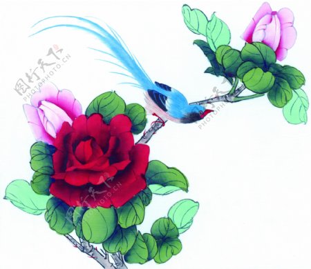 花卉小鸟装饰画图片