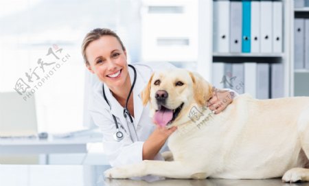 外国女兽医与宠物狗图片