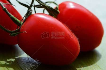 一串成熟的番茄