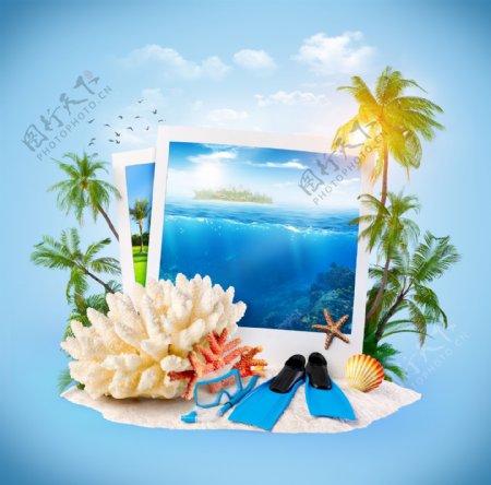 沙滩上的椰子树与海底照片图片