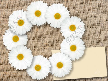 布面上的白色花朵和卡片图片