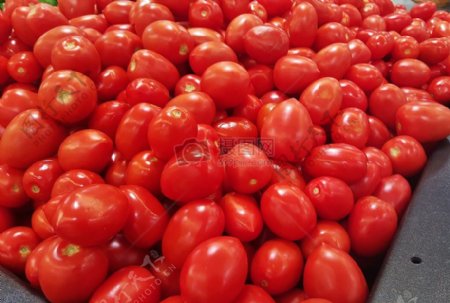 盛满的番茄