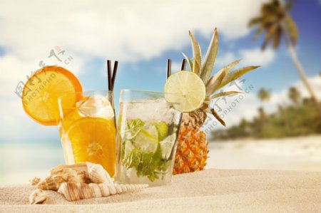 沙滩上的饮料和海螺图片