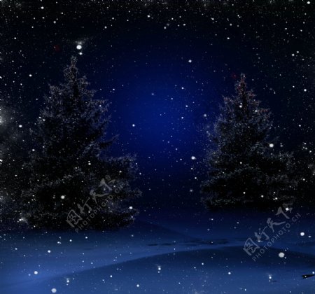 夜晚的树木和雪花图片
