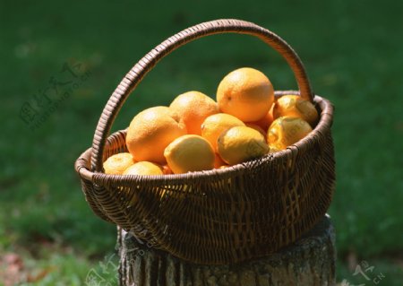 树墩上一篮子橙的图片图片