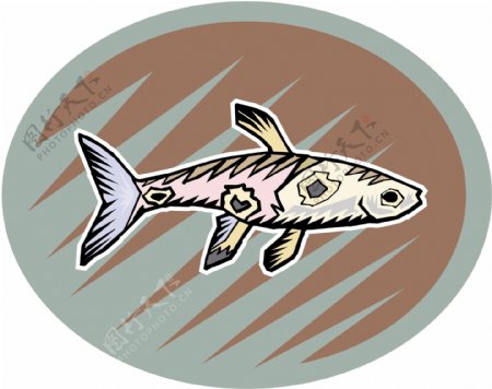 五彩小鱼水生动物矢量素材EPS格式0510