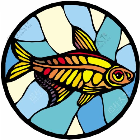 五彩小鱼水生动物矢量素材EPS格式0521