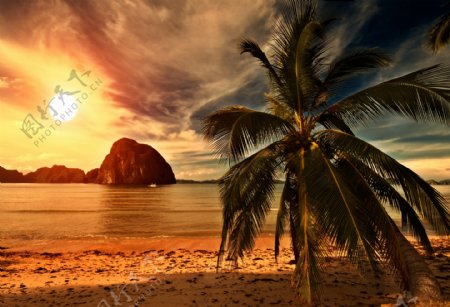 沙滩夕阳景色图片