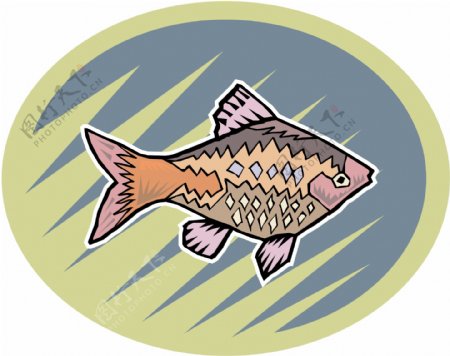 五彩小鱼水生动物矢量素材EPS格式0718