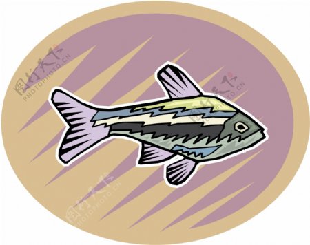 五彩小鱼水生动物矢量素材EPS格式0729