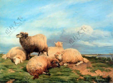 草原上的羊油画图片
