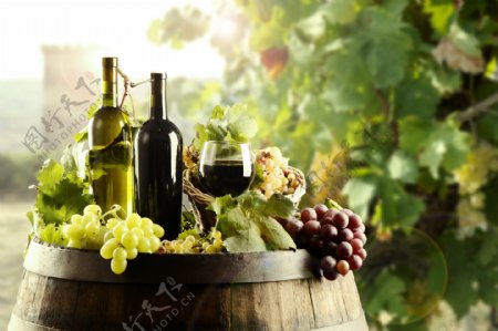 红酒桶上的葡萄酒与葡萄图片