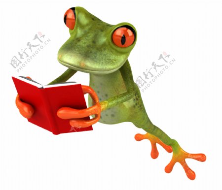 坐着看书的青蛙图片