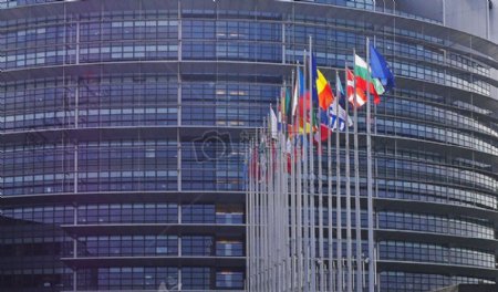 欧洲会议室外的国旗