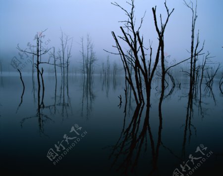 湖泊风景摄影图片