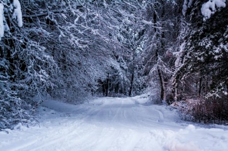 美丽冬天道路风景图片
