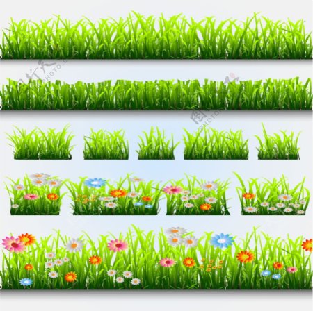 花卉绿草装饰元素矢量图素材