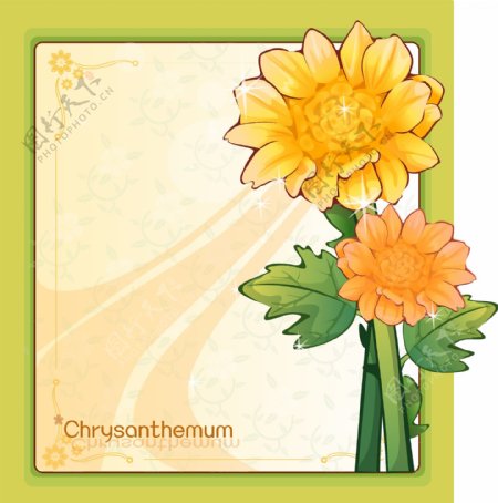 绿色边框和橙色菊花插画图片
