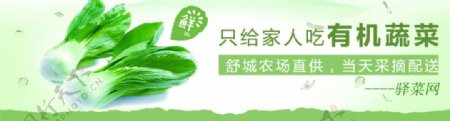 绿色健康蔬菜banner