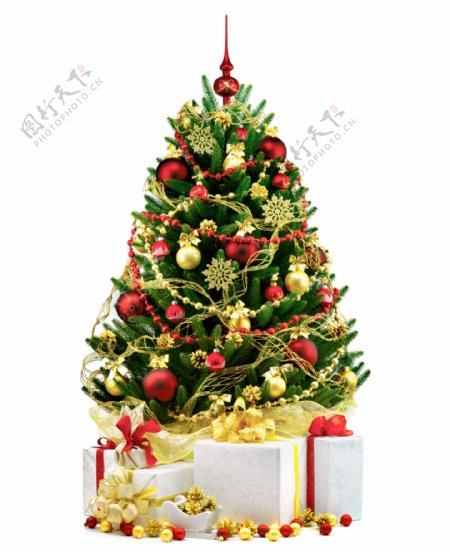 圣诞礼包与圣诞树图片