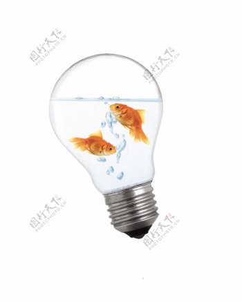 电灯里面的金鱼图片
