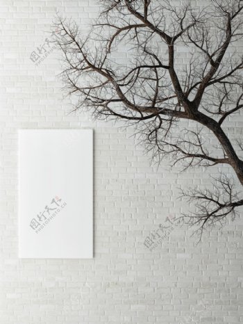 墙壁上的装饰画框和树枝