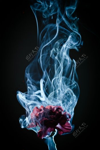 烟雾与花朵图片