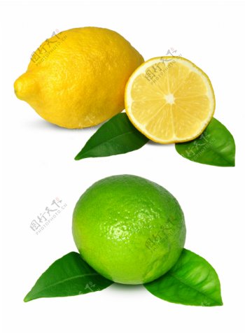 柠檬与橙子图片