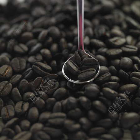 咖啡豆特定摄影图片