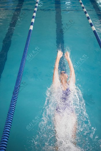 女性仰泳运动员图片