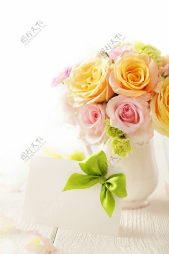 黄色粉色的玫瑰花