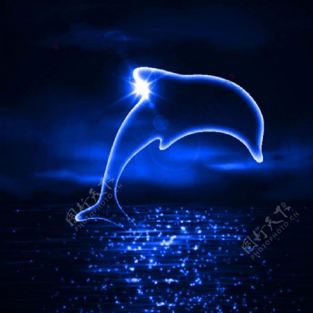 海豚深蓝色