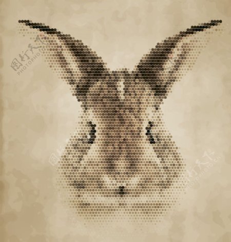 动物头像兔子图片