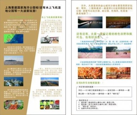 上海湾单页