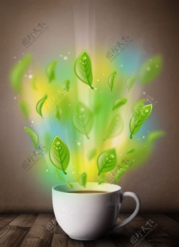 咖啡杯内的树叶图片