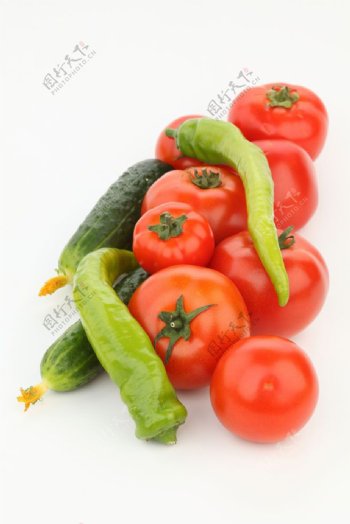 西红柿和南瓜青椒图片