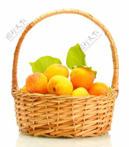 篮子里的杏子图片