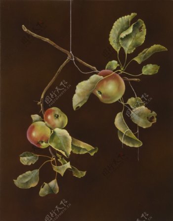 树上的果子油画图片