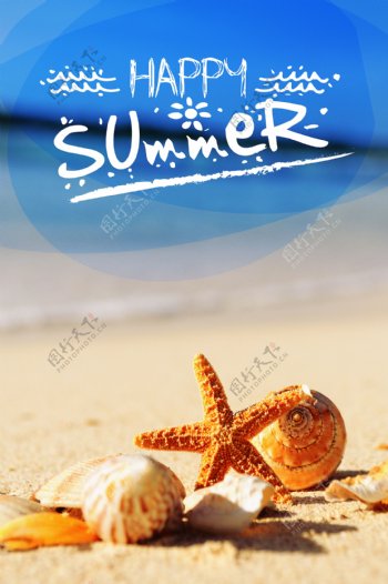 沙滩上的海星与海螺图片