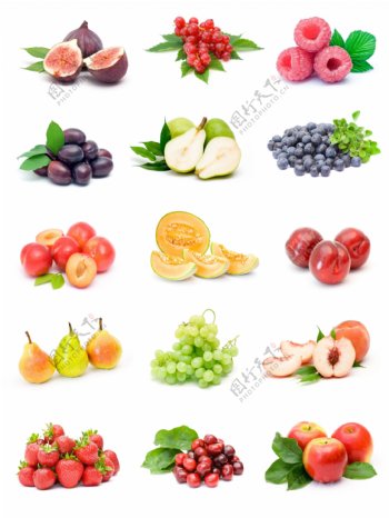 各种各样的水果