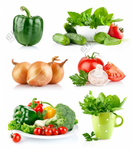 各种蔬菜