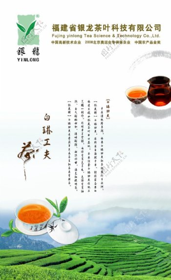 白琳工夫茶海报