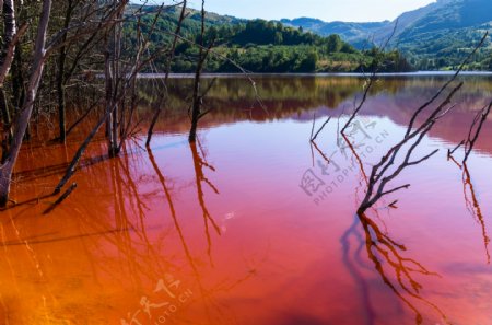 湖水污染变色图片
