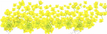 黄色水墨花朵元素